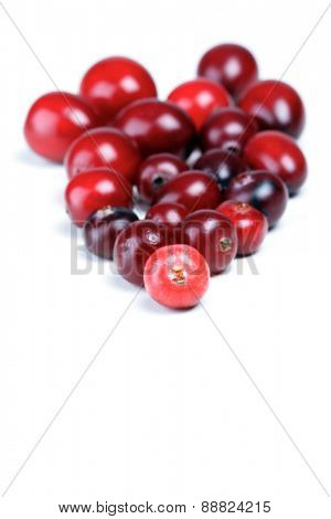 Cranberries on white background - studio shot