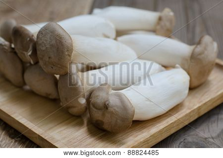King Oyster Mushroom Pleurotus Eryngii In Wooden Bowl