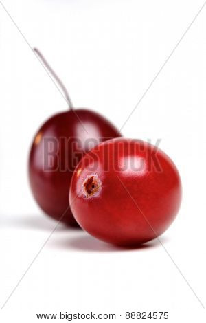 Studio shot of cranberries on white background