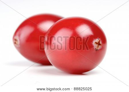 Cranberries on white background - close-up