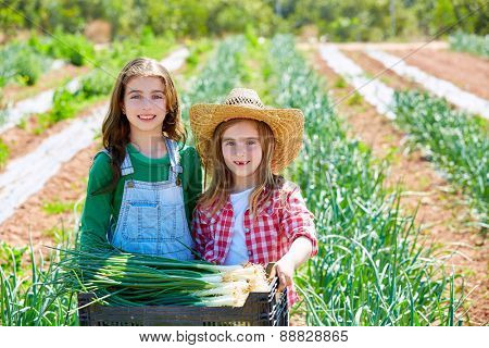 Litte kid farmer girls in onion harvest at orchard