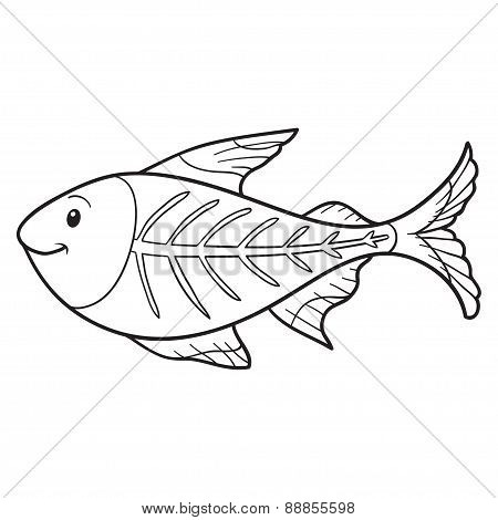 Coloring Book (x-ray Fish)