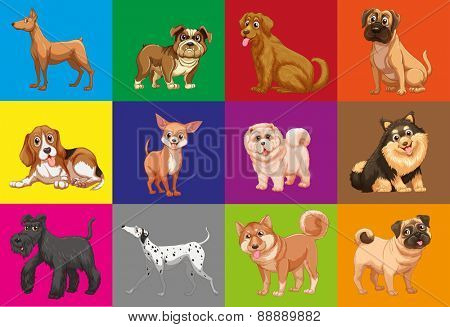 Different type of dogs in colored squares