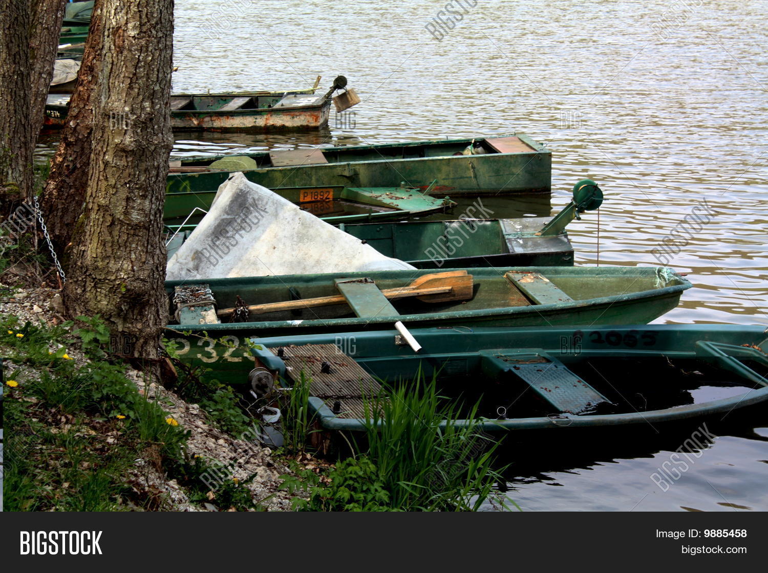 Image Preview