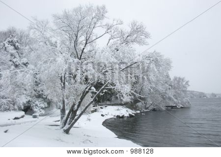 Schnee beladenen Baum