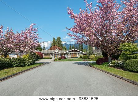 Beautiful luxury house with cherry blossom and mountains in the background. Home exterior.