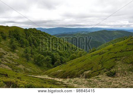 Nature In The Mountains