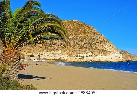 a view of the Beach of Agua Amarga in the Cabo de Gata-Nijar Natural Park, in the Province of Almeria, in Spain