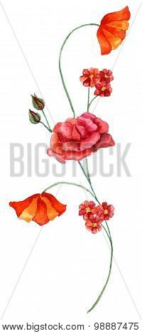 A vintage style watercolour drawing of a bouquet of various flowers on white background