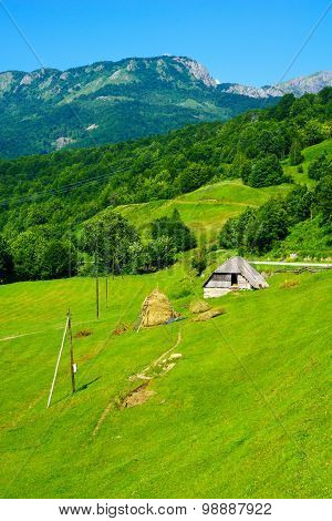Countryside Landscape Near Kolasin
