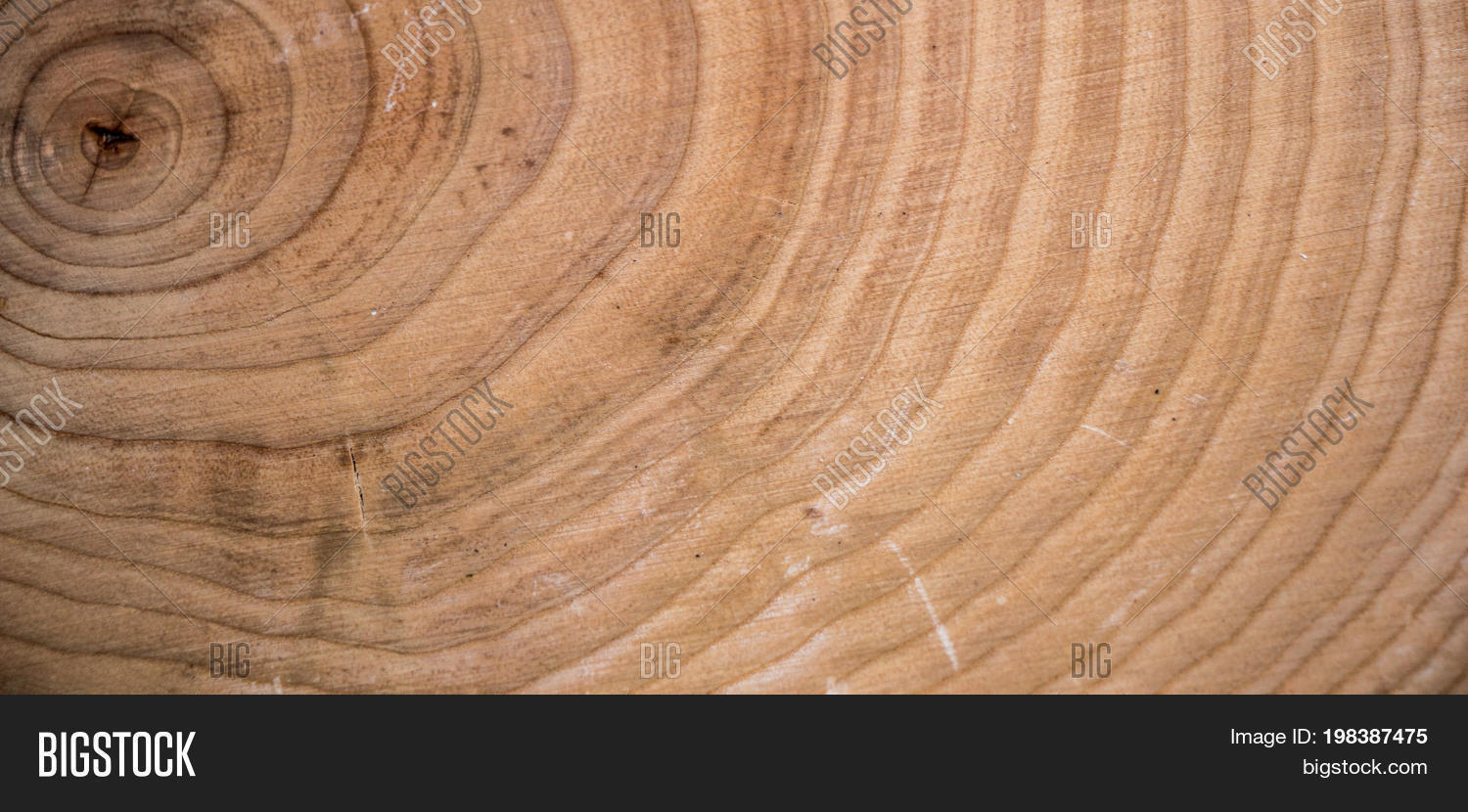 Small Piece Cut Wood Image & Photo (Free Trial) Bigstock