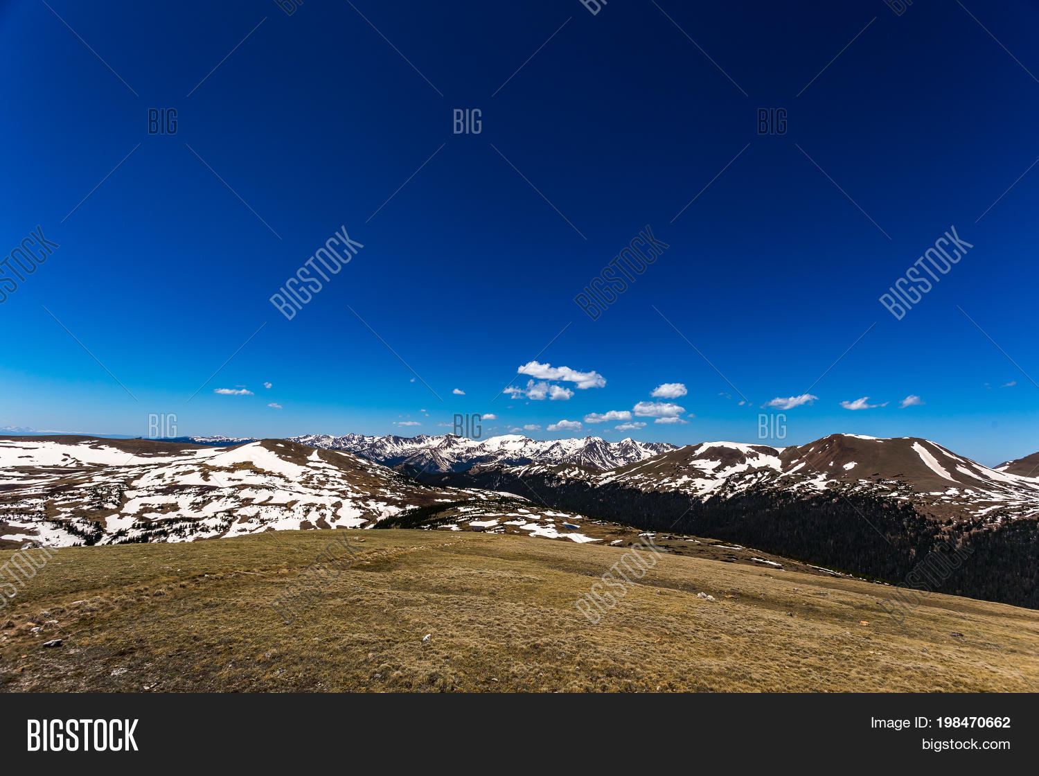 Trail Ridge 图片和照片（免费试用） | Bigstock