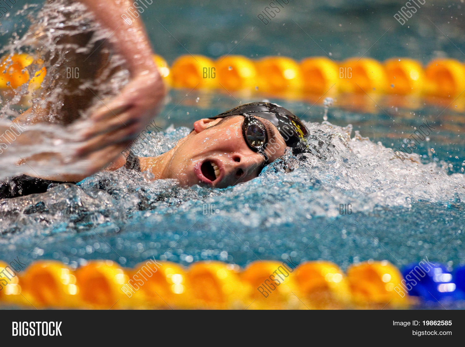 VIENNA, AUSTRIA Image & Photo (Free Trial) Bigstock