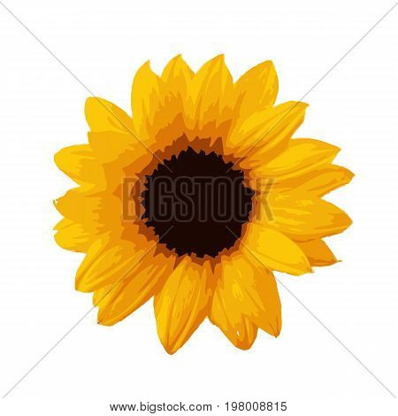 Sunflower icon isolated on white background. Beautiful yellow sunflower. Vector stock.
