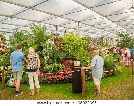 LONDON UK - MAY 25 2017: RHS Chelsea Flower Show 2017. Visitors looking at mixed plants display.