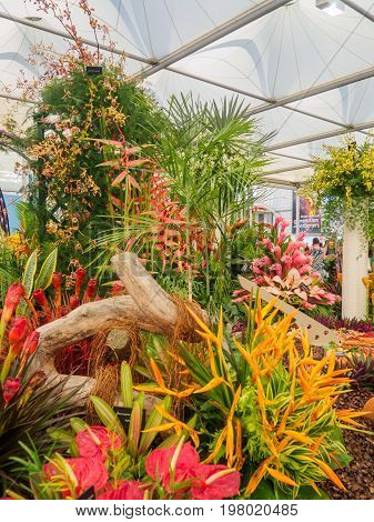 LONDON UK - MAY 25 2017: RHS Chelsea Flower Show 2017. Tropical plants display.