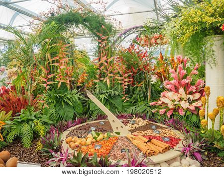 LONDON UK - MAY 25 2017: RHS Chelsea Flower Show 2017. Tropical plants and spice display.