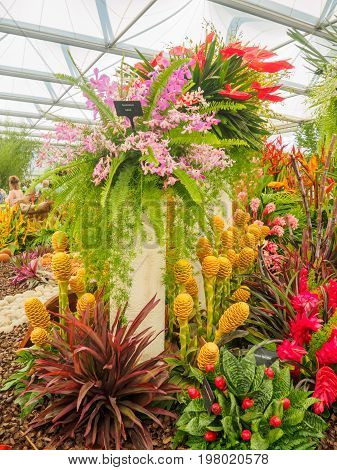 LONDON UK - MAY 25 2017: RHS Chelsea Flower Show 2017. Tropical plants display.