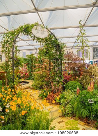 LONDON UK - MAY 25 2017: RHS Chelsea Flower Show 2017. Burncoose nurseries plants display.