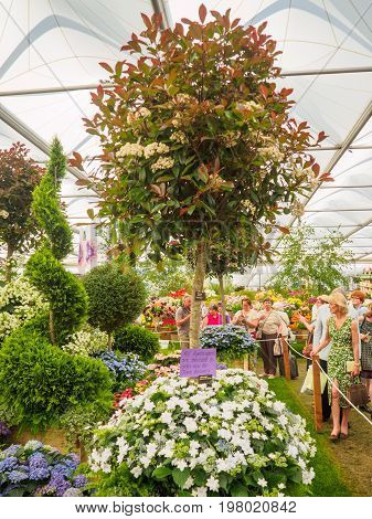LONDON UK - MAY 25 2017: RHS Chelsea Flower Show 2017. Visitors observing mixed plants displays.
