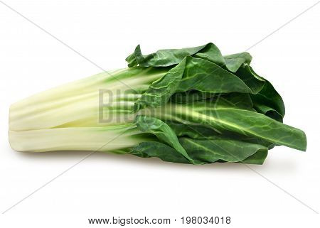 Fresh green chard isolated on a white background. Design element for product label, catalog print, web use.