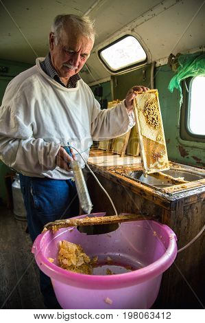 The beekeeper separates the wax from the honeycomb frame. A special knife for separating the wax from the frame with honey