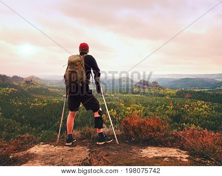 Man Hiker Wearing Supportive Leg Brace And Gainst The Cruthes. Natural Forest Park