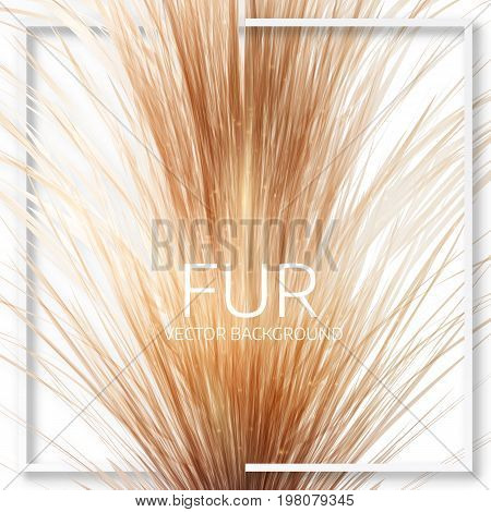Abstract Fur Background