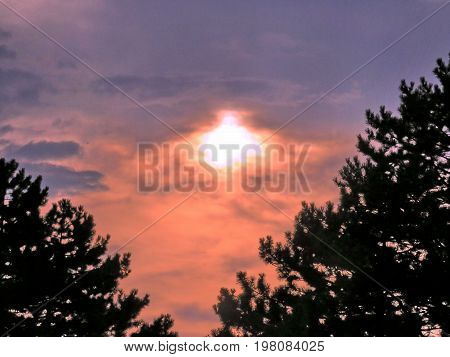 Sunset in forest of Thornhill Canada August 1 2017