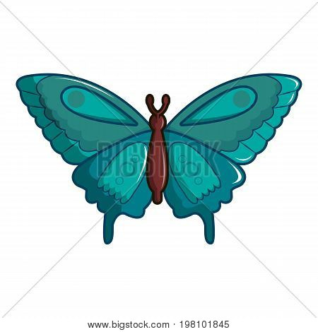 Butterfly morpho anaxibia icon. Cartoon illustration of butterfly morpho anaxibia vector icon for web design