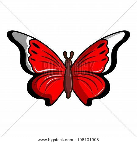 Cethosia biblis butterfly icon. Cartoon illustration of cethosia biblis butterfly vector icon for web design