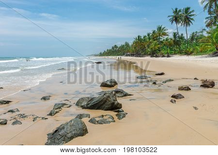 Amazing Green Nature At The Itacarezinho Beach
