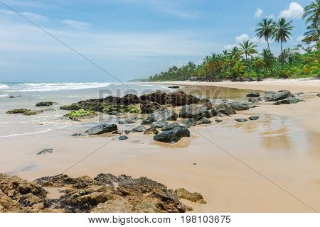 Amazing Green Nature At The Itacarezinho Beach