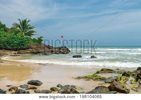Amazing Green Nature At The Itacarezinho Beach