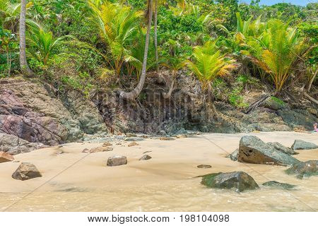 Amazing Green Nature At The Itacarezinho Beach