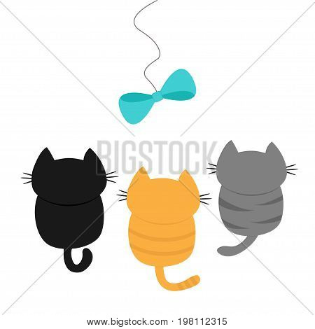 Three kittens looking up to bow on rope. Cute cartoon funny character. Playing animal set. Adopt me. Love card Flat design White background Isolated Vector