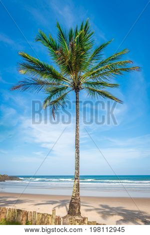 Amazing View Of The Beaches Near Itacare