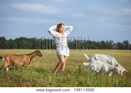 Woman is standing in a field next to graze domestic goats.