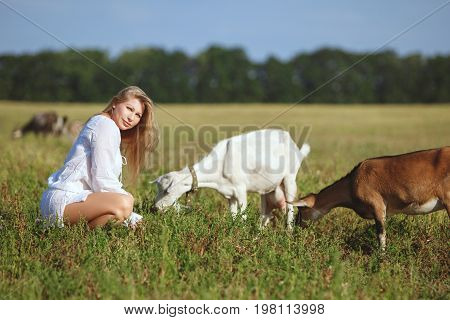 Woman feeds goats in the field a summer bright day.