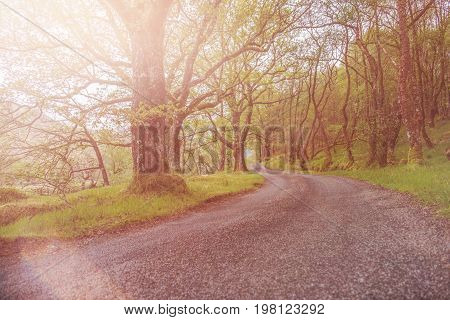 Scottish single track road in the highlands, uk