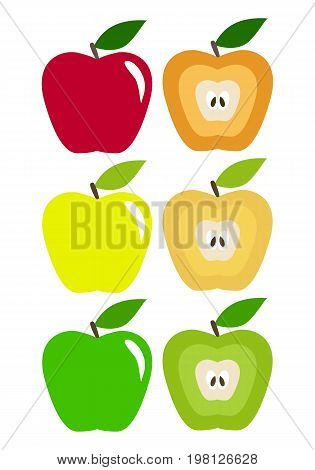 Illustration of colored apples on white background