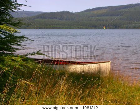 Vue sur le lac