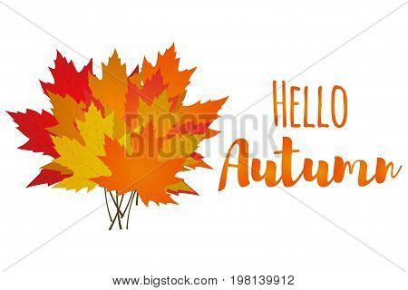 Hello autumn. Bouquet of autumn maple leaves isolated on white background. Vector illustration