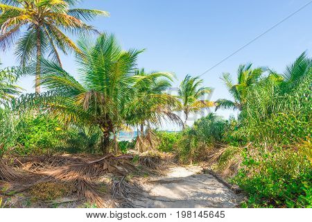 Amazing View Of The Beaches Near Itacare