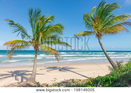 Amazing View Of The Beaches Near Itacare