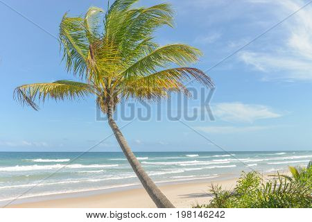 Amazing View Of The Beaches Near Itacare