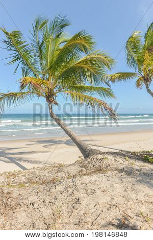 Amazing View Of The Beaches Near Itacare