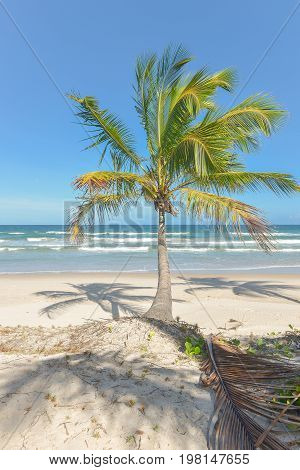 Amazing View Of The Beaches Near Itacare