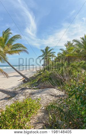 Amazing View Of The Beaches Near Itacare