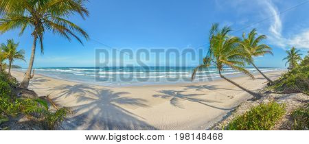 Impressive Paradise Beach At The Itacare Bahia Brazil